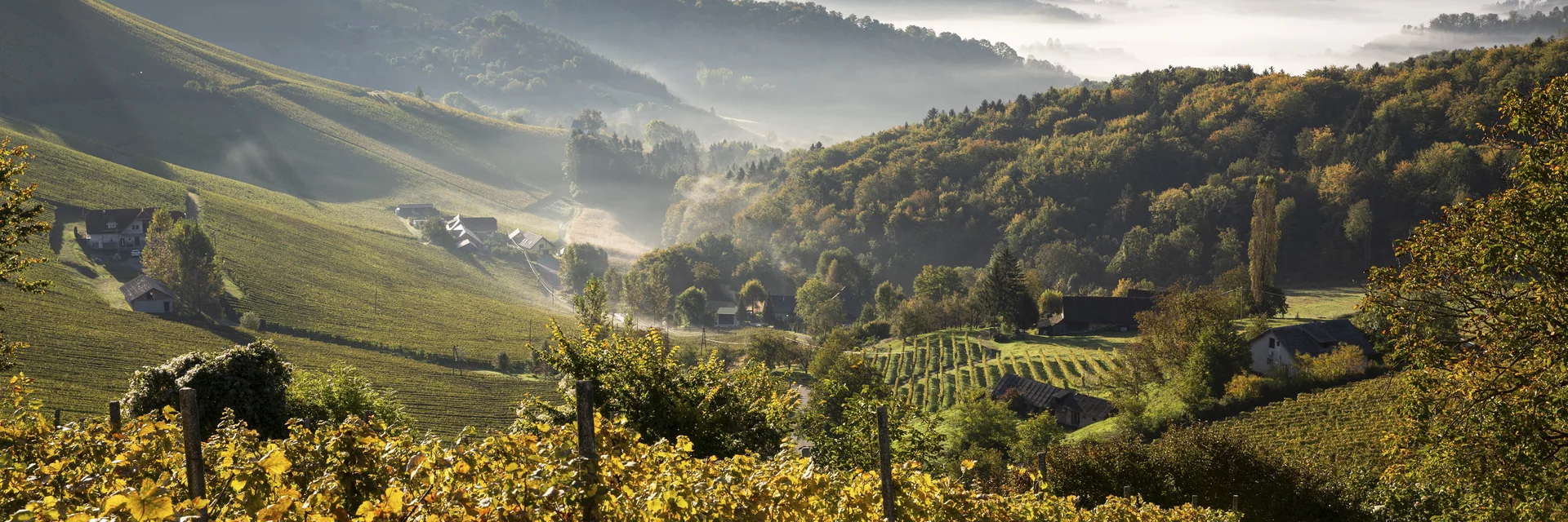 Südsteiermark | © STG | photo-austria.at