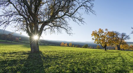 Oststeiermark | © STG | Helmut Schweighofer