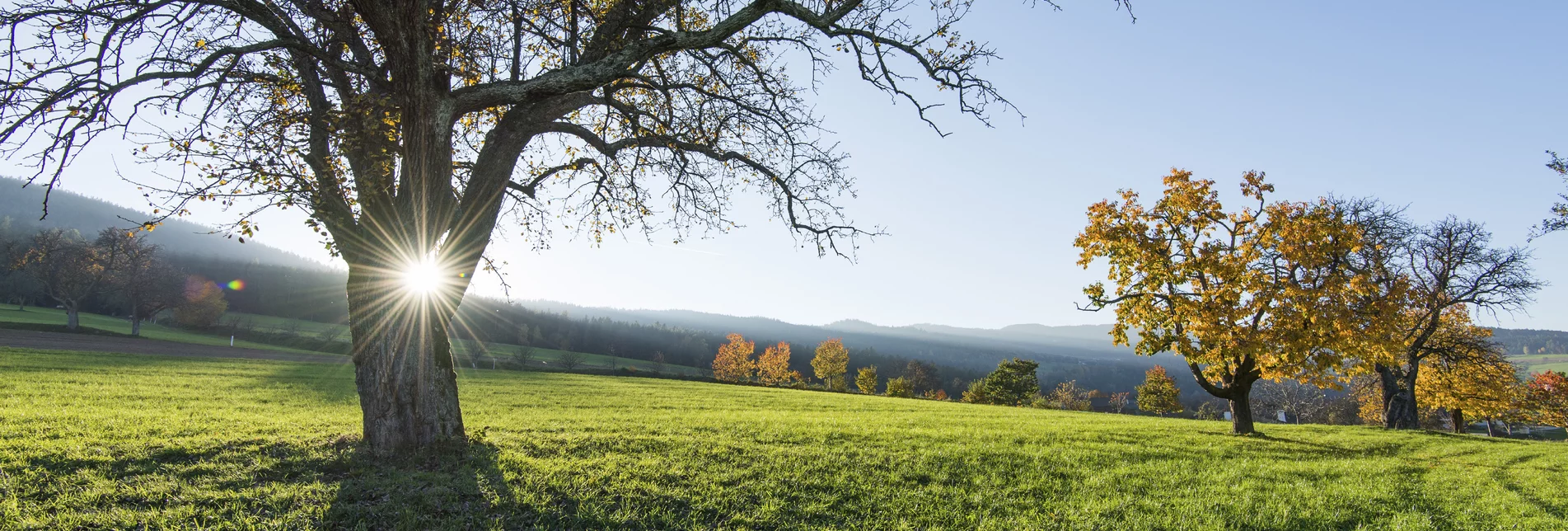 Oststeiermark | © STG | Helmut Schweighofer