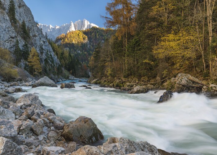 Herbst im Gesäuse-Eingang | © Nationalpark Gesäuse | Andreas Hollinger | Bild-Nutzung nur in Zusammenhang mit dem Nationalpark Gesäuse möglich.