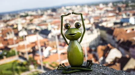 Steiermark-Wetterfrosch über den Dächern von Graz | © STG | Tom Lamm