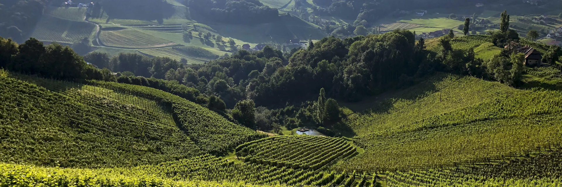 Südsteiermark: Wanderroute "Vom Gletscher zum Wein" (Etappe 24, Südroute) | © STG | Martina Traisch