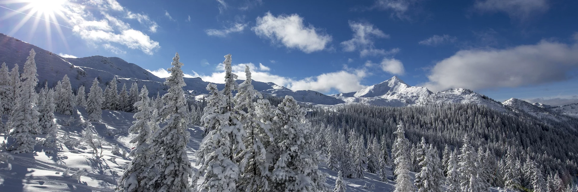 Winterlandschaft auf der Planneralm | © STG | Tom Lamm