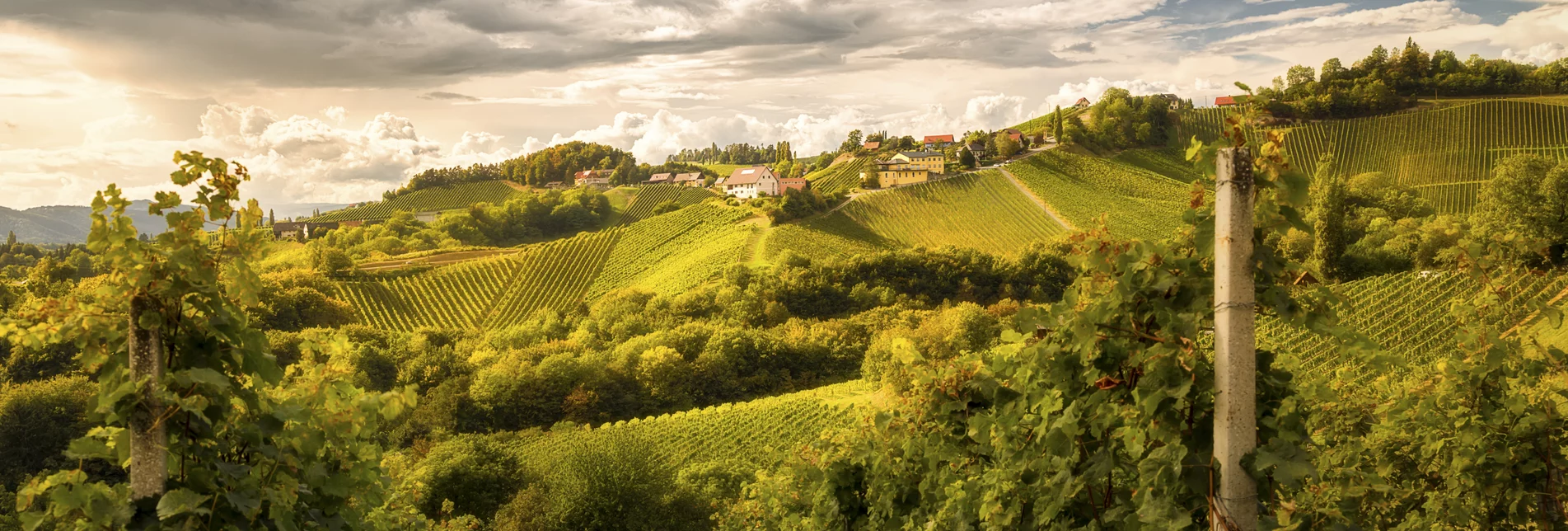 Southern Styria | © Steiermark Tourismus | Wolfgang Jauk