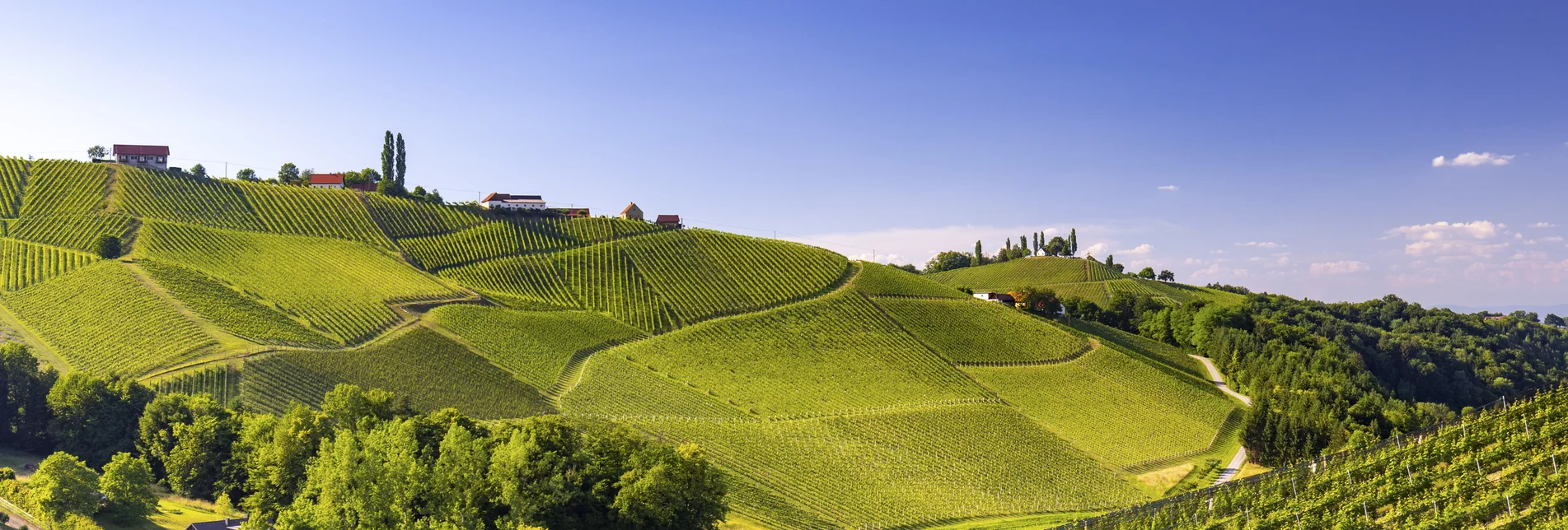 PackageKulinarische Reise zum Genuss - Kultur, Wein und Schmankerln in der Südsteiermark 