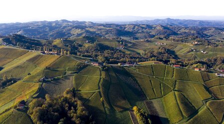 Südsteiermark, Sernauberg/Gamlitz | © STG | Tom Lamm