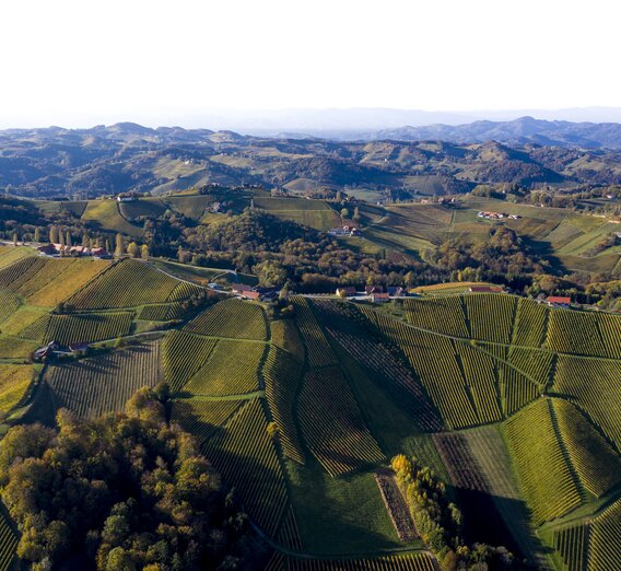 The Wine Cycle Tour, Gamlitz | © Steiermark Tourismus | Tom Lamm