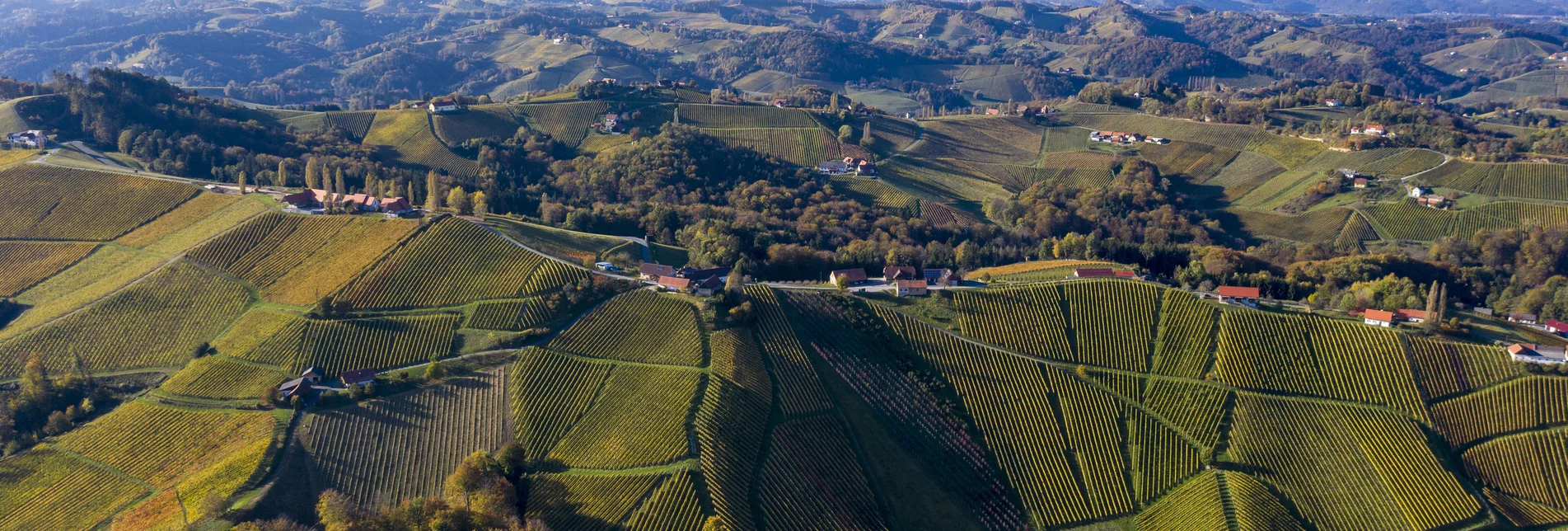 The Wine Cycle Tour, Gamlitz | © Steiermark Tourismus | Tom Lamm