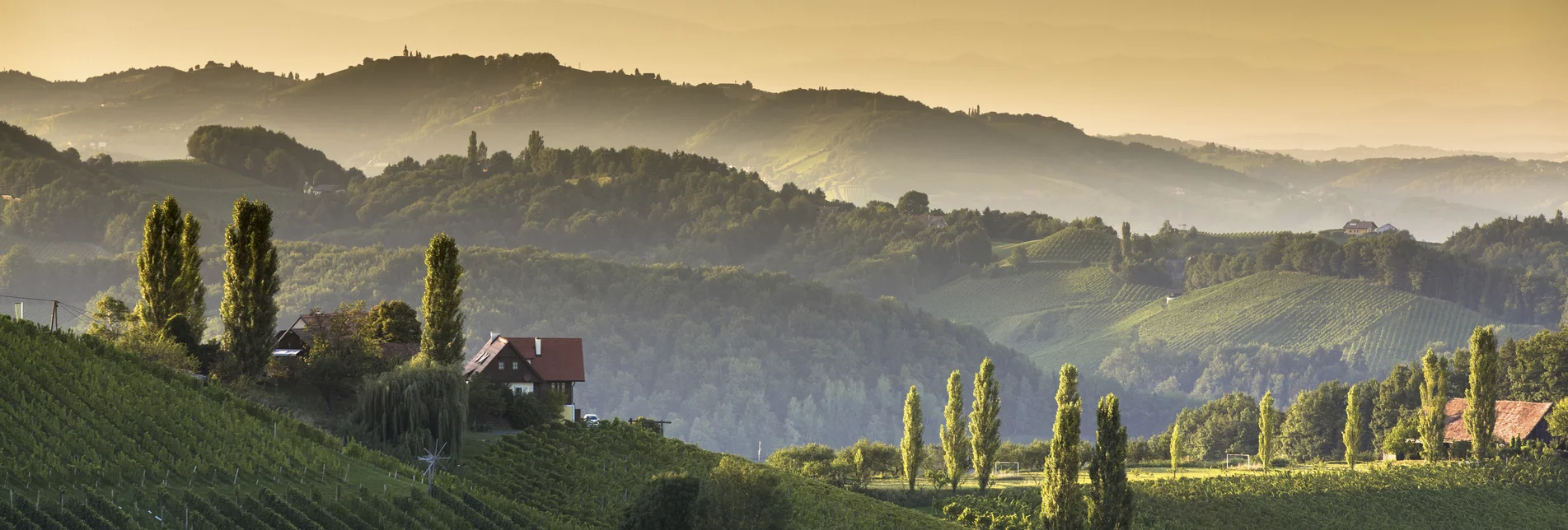 Southern Styria | © Steiermark Tourismus | Harry Schiffer