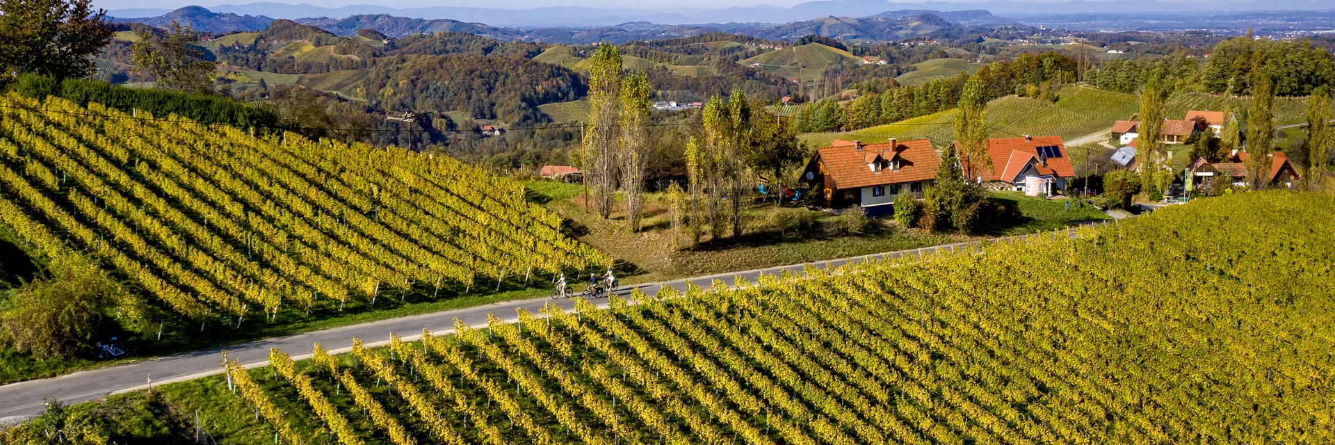 Radfahrer auf der Weinland Steiermark Radtour | © STG | Tom Lamm