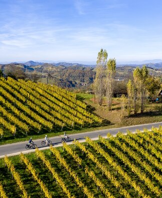 Radfahren auf der Weinland Steiermark Radtour bei Gamlitz | © STG | Tom Lamm