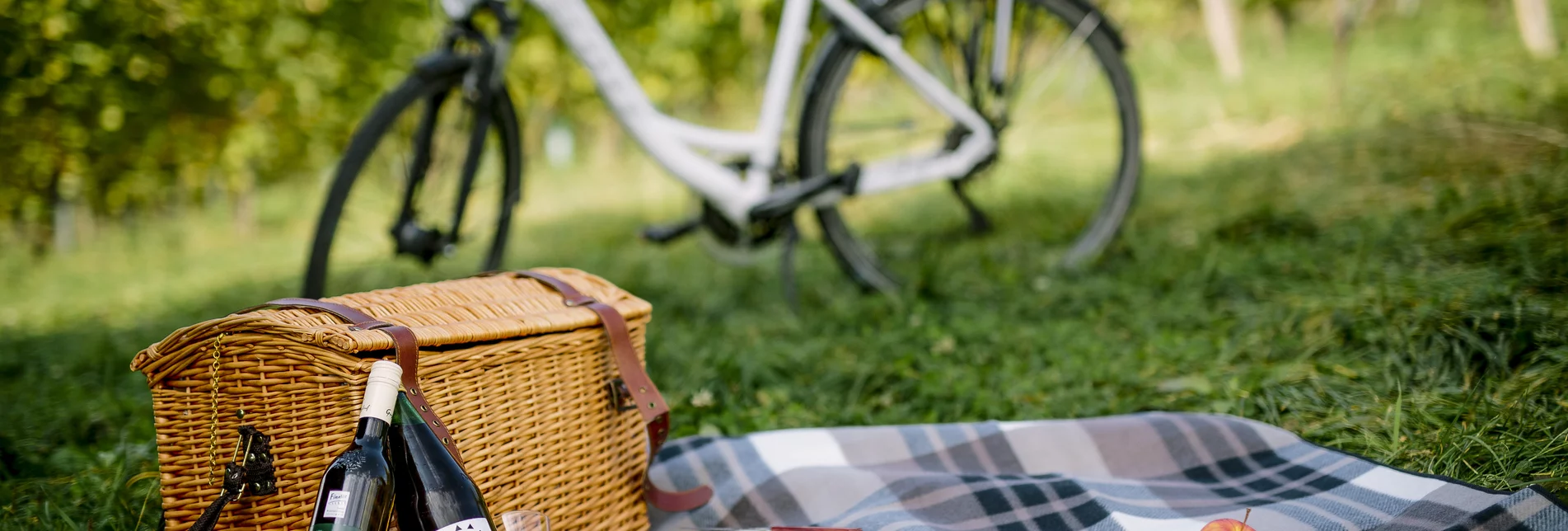 PackageWeinland Steiermark Radtour - Oststeiermark - Rundfahrt ab/bis St. Ruprecht