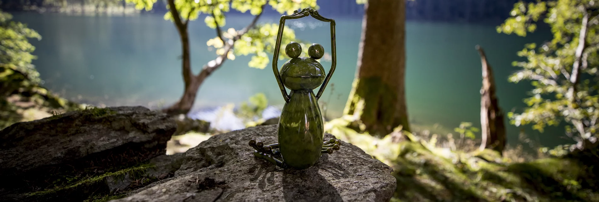 Styrian frog at the lake | © Steiermark Tourismus | Tom Lamm