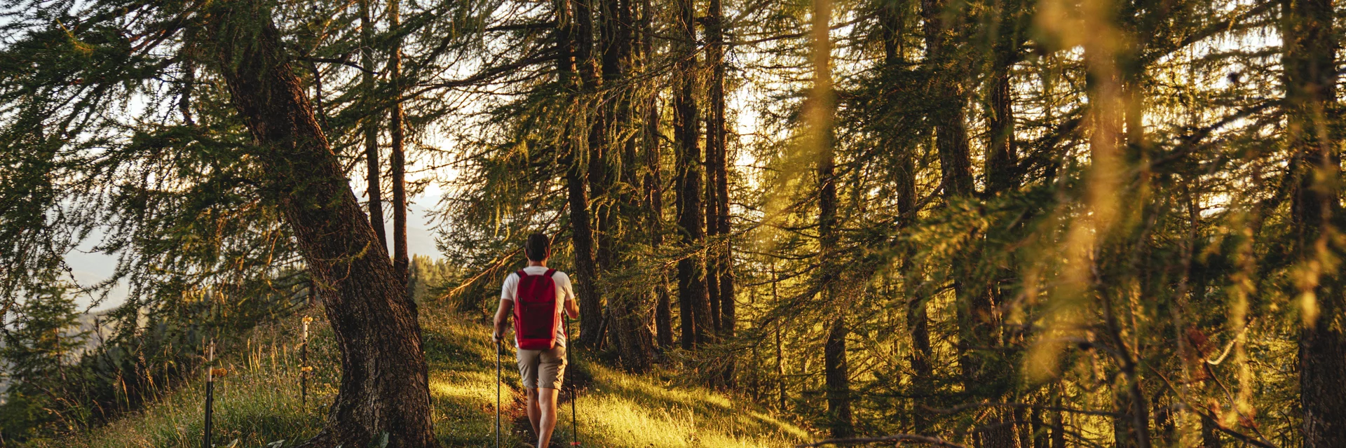 Wandern in Ramsau am Dachstein | © STG | photo-austria.at