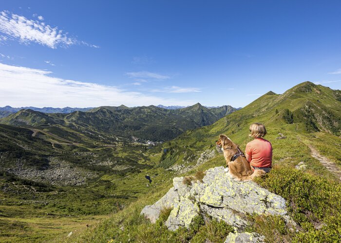 Auf der Planneralm mit Hund | © STG | photo-austria.at