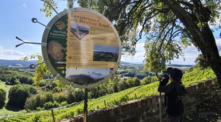 Geo Trail Kapfenstein nahe Weingut Winkler-Hermaden | © STG | Günther Steininger