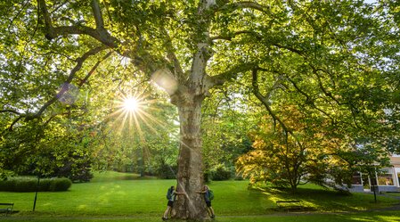 Im Kurpark von Bad Gleichenberg | © STG | Pixelmaker