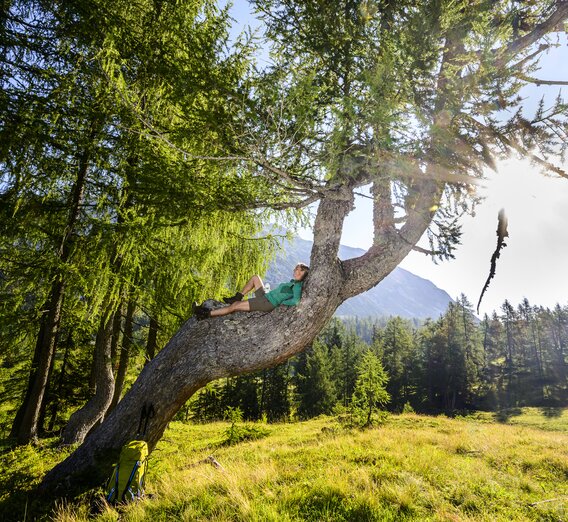 Rest on the way to the Tauplitzalm | © Steiermark Tourismus | Pixelmaker