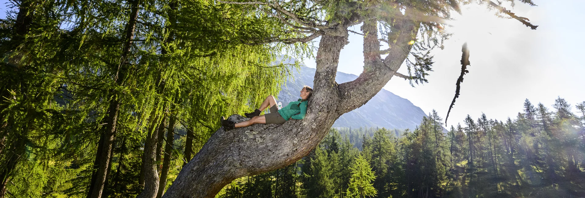 Rest on the way to the Tauplitzalm | © Steiermark Tourismus | pixelmaker.at
