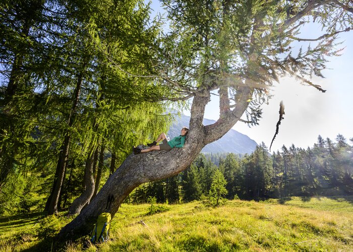 Rast am Weg auf die Tauplitzalm | © STG | Pixelmaker