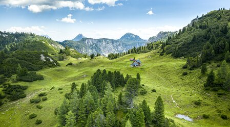 Grafenbergalm | © Steiermark Tourismus | Pixelmaker