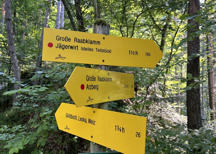 In the Raabklamm, the longest gorge in Austria | © STG | Günther Steininger