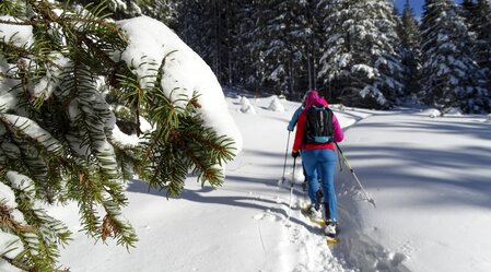 Snowshoeing at the Steinplan (close to Kleinlobming) | © WEGES | Weges