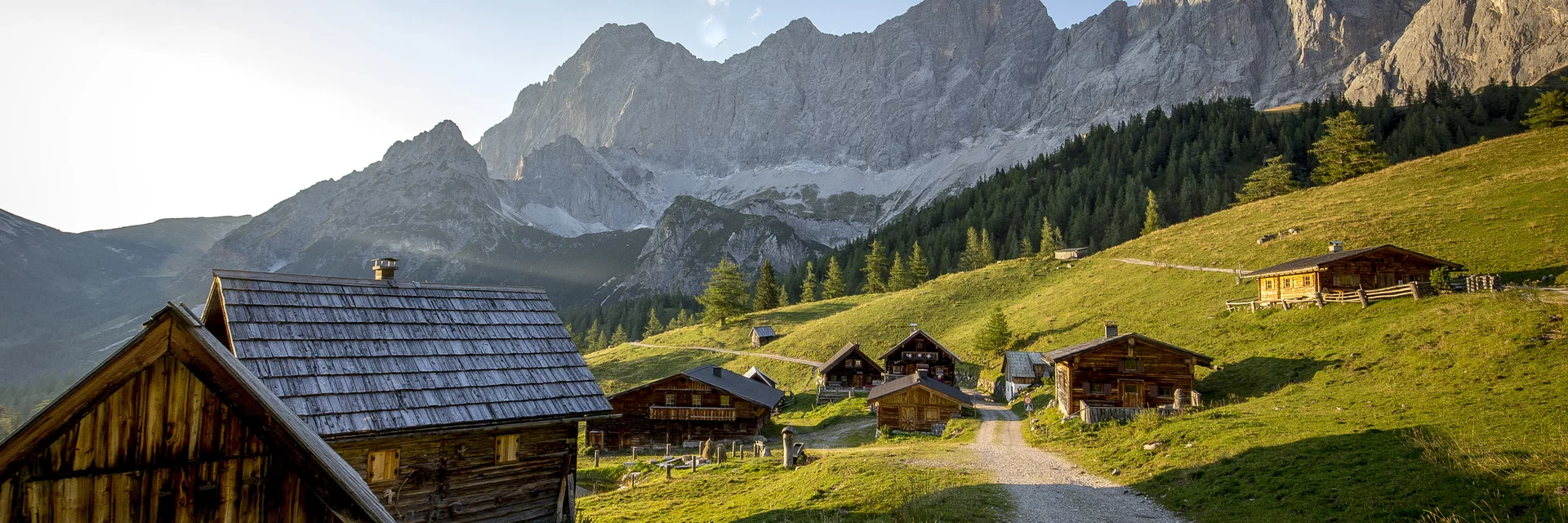 Neustattalm am Fuße des Dachsteins, Ramsau am Dachstein | © c Steiermark Tourismus / ikarus.cc | Tom Lamm