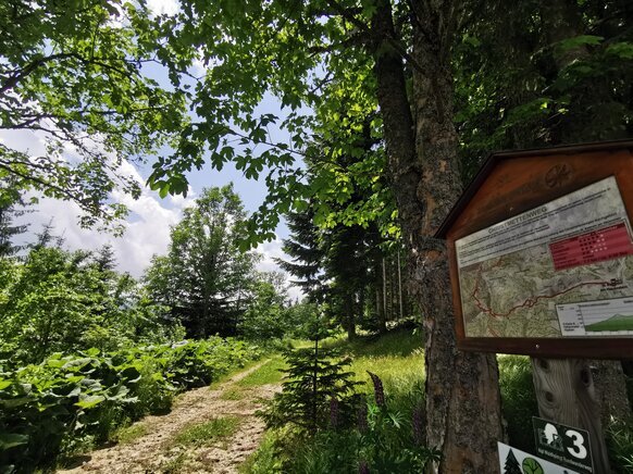 Wanderung nach Peter Rosegger | © Steiermark Tourismus