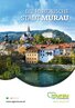 Stadt Murau