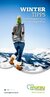 WinterTips