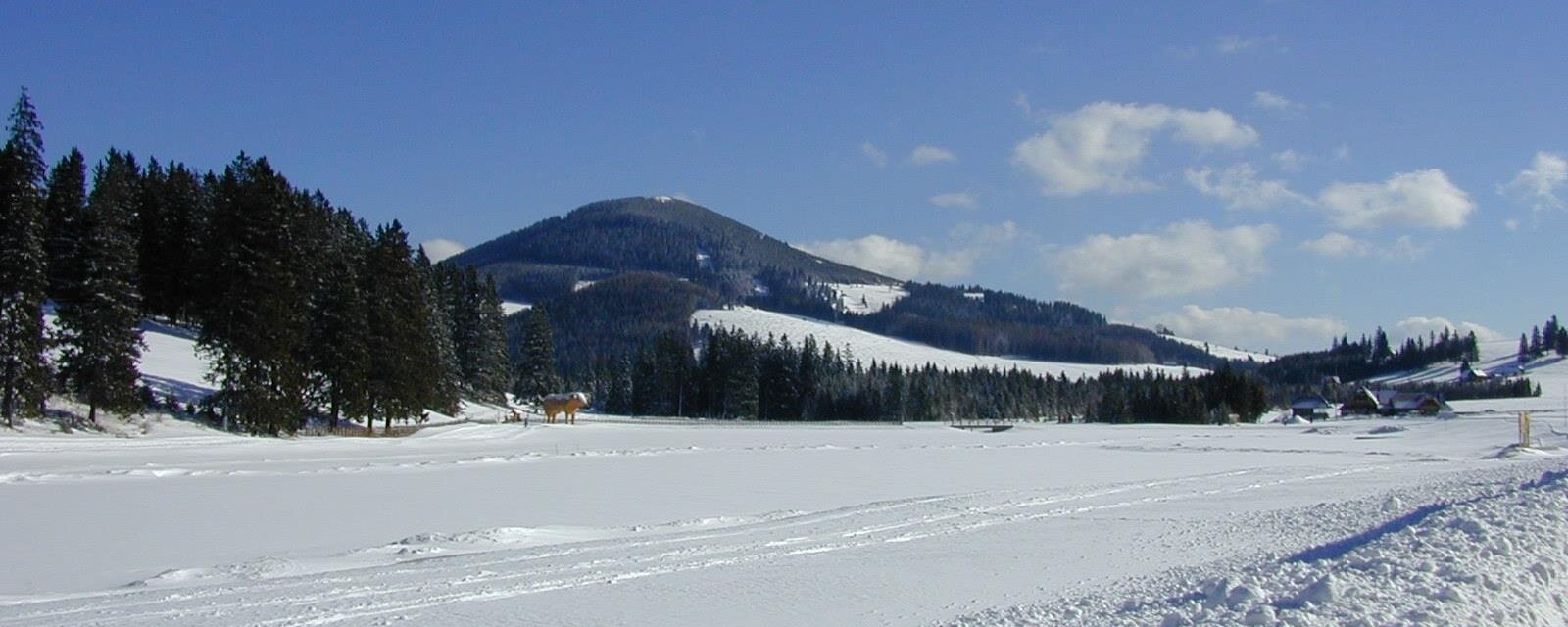 Teichalm_Snow_Eastern Styria_Pollhammer | © Tourismusverband Oststeiermark