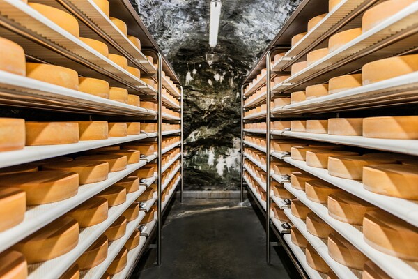 Stollenkäse_im Stollen_Oststeiermark | © Almenland Stollenkäse
