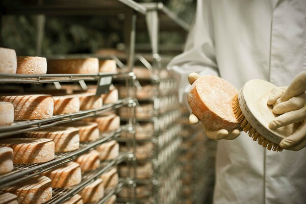 Stollenkäse_Käsepflege_Oststeiermark | © Almenland Stollenkäse