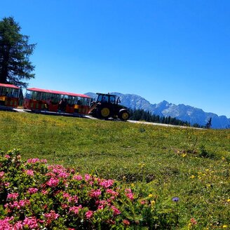 Bummelzugfahrt, Tauplitz, Fahrt mit dem Bummelzug | © Hollhaus