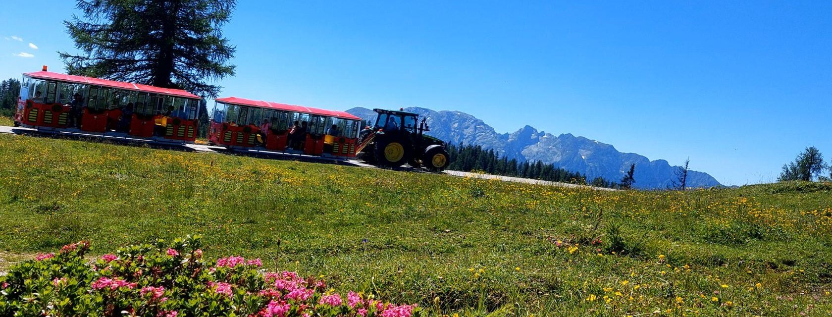 Bummelzugfahrt, Tauplitz, Fahrt mit dem Bummelzug | © Hollhaus