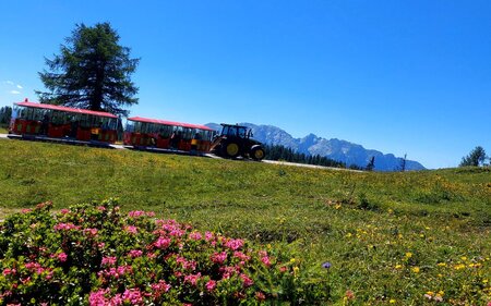 Slow Train Ride, Tauplitz, Ride on the Slow Train | © Hollhaus