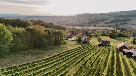 Blick über Tieschen | © Wein & Genuss Hopfer