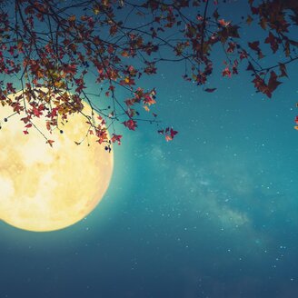 Vollmond-Wanderung | © Das Kurhaus Bad Gleichenberg GmbH