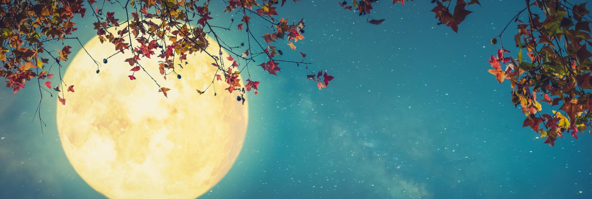 Vollmond-Wanderung | © Das Kurhaus Bad Gleichenberg GmbH