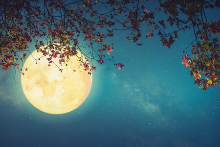 Vollmond-Wanderung | © Das Kurhaus Bad Gleichenberg GmbH