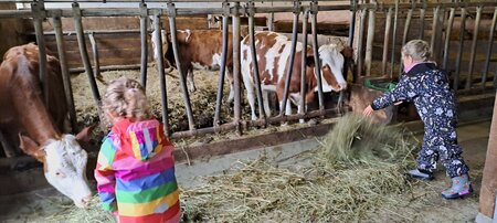 Bio Farm_Feeding_Eastern Styria | © Biobauernhof