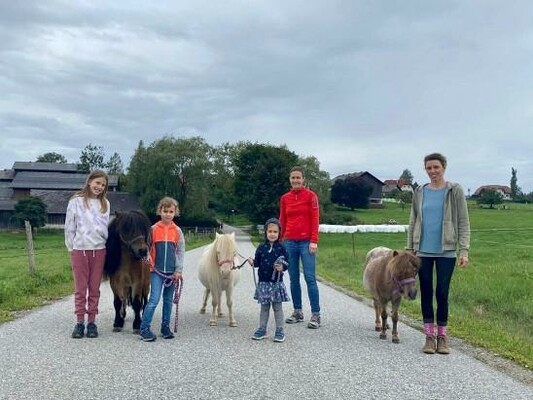 Bio Farm_Pony Hike Street_Eastern Styria | © Biobauernhof