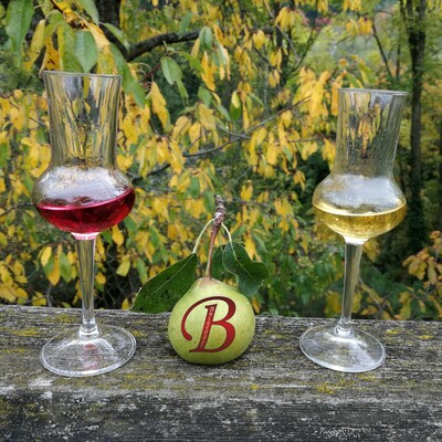 Farmer Buchegger_Liquorglasses_Eastern Styria | © Bauernhof Buchegger