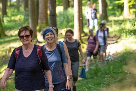 Pilgernd durch Wälder Richtung Maria Fieberbründl | © Haus der Frauen