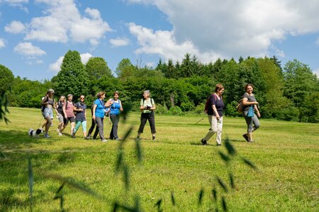 Pilgern auf Wiesen und Fluren in der Oststeiermark | © Haus der Frauen