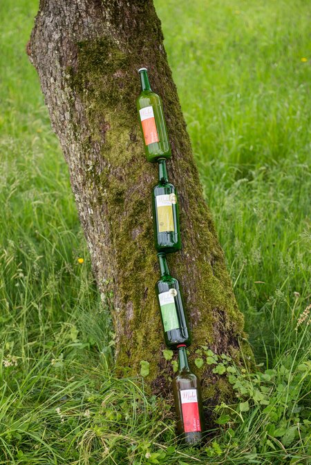 Steirer Packerl_natur-liche Säfte_Oststeiermark | © ©Daniel Muhr