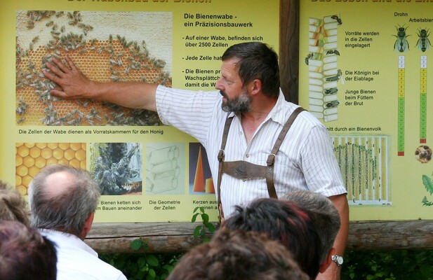 Imkerei Kreiner_Schautafel_Oststeiermark | © Imkerei Kreiner