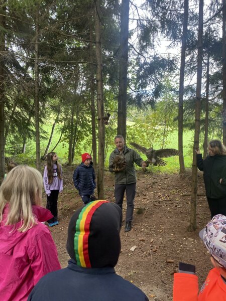 forest_pöllau_Eastern Styria | © Klassenzimmer Wald