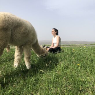 Time with alpacas | © Jenny Benedict